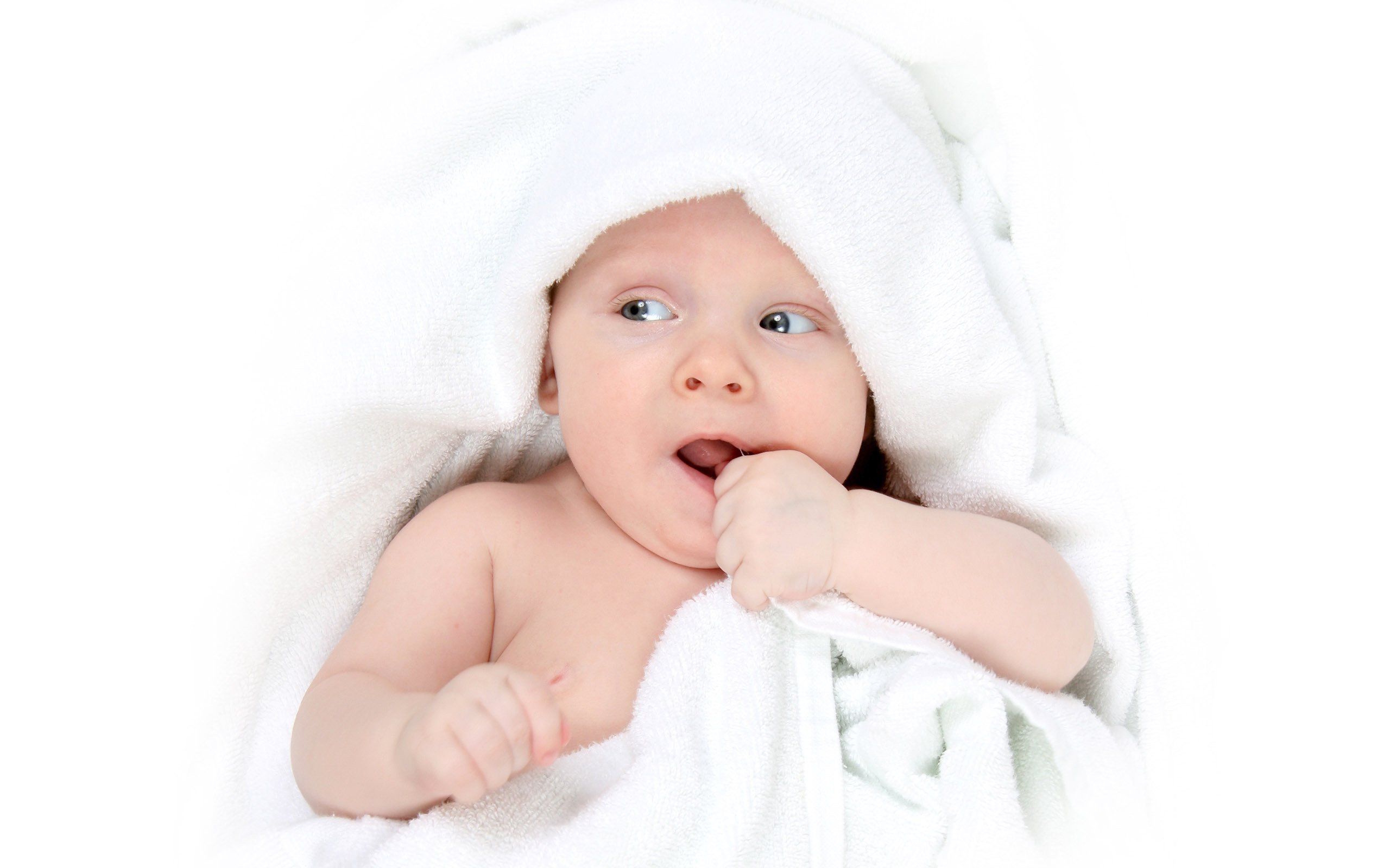 洛阳代怀生子助孕机构试管婴儿哪家医院成功率最高